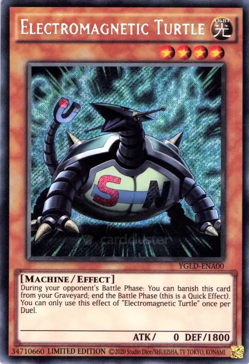 Tartaruga Elettromagnetica Card Front