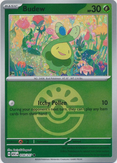 Budew Card Front