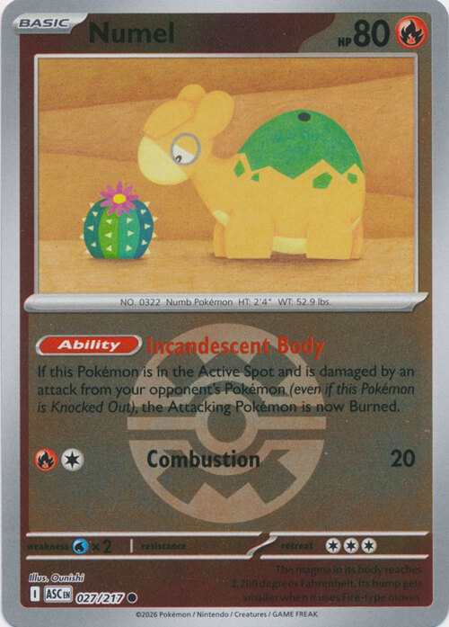 Numel Card Front