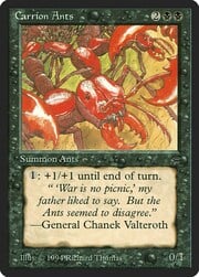 Carrion Ants 090