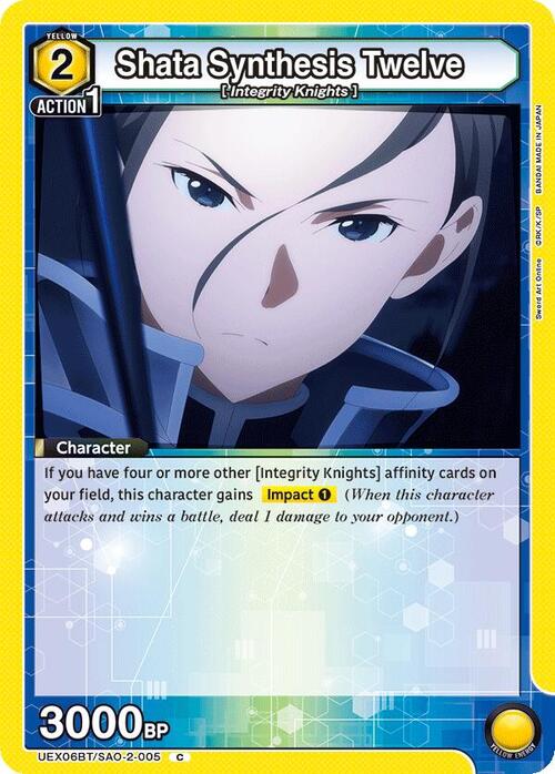 Shata Synthesis Twelve Card Front