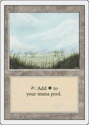 Plains · 293 293
