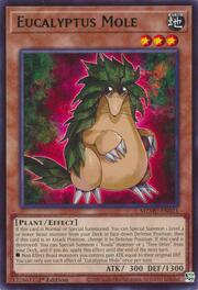 Eucalyptus Mole · Rare 021