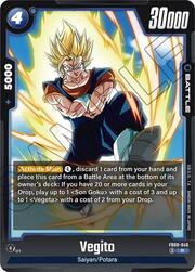 Vegito FB09-046