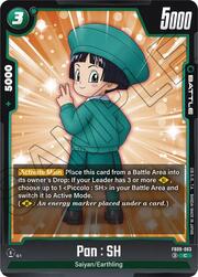Pan : SH FB09-063