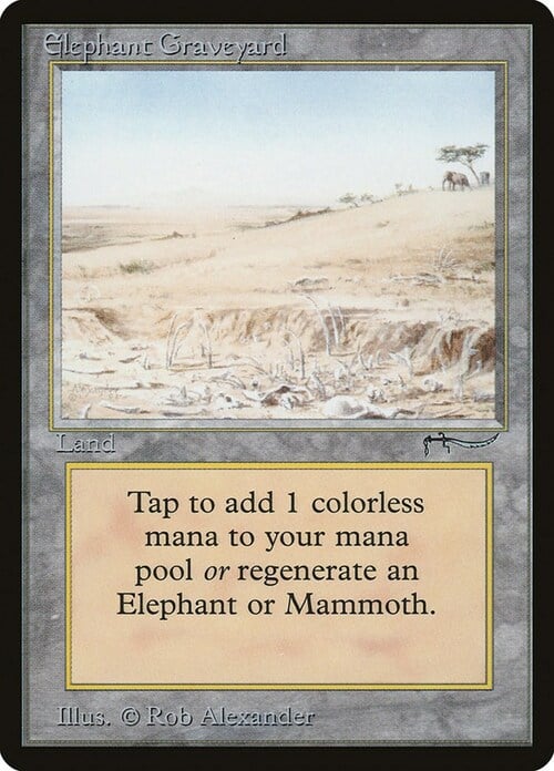 Elephant Graveyard Card Front