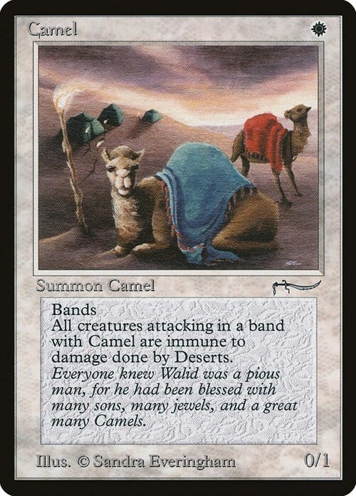 Camel Card Front