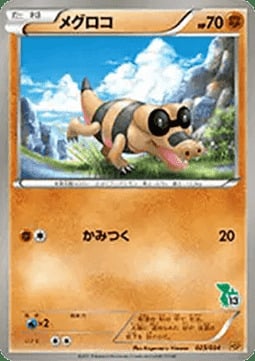 Sandile Card Front