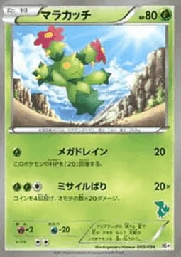 Maractus Card Front
