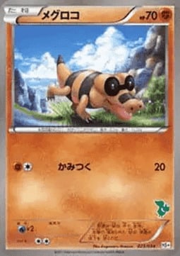 Sandile Card Front