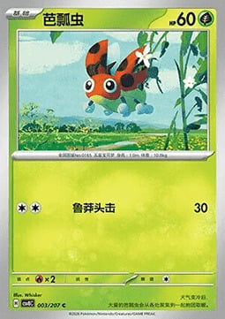 Ledyba Card Front