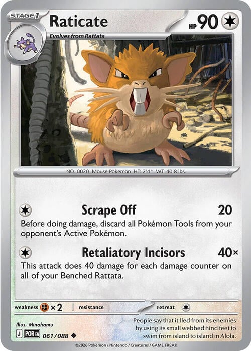 Raticate Card Front