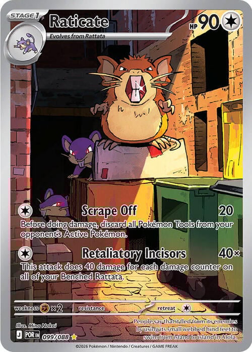 Raticate Card Front