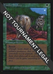 Timber Wolves 128