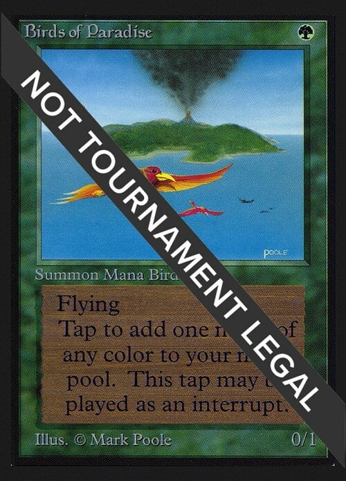 Birds of Paradise Card Front