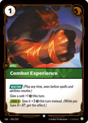 Combat Experience 031