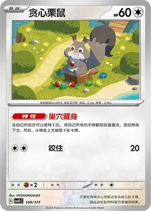 Skwovet Card Front