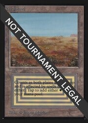 Scrubland 294