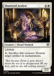 Shattered Acolyte 031