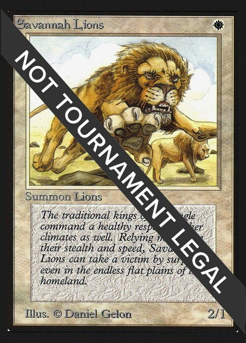 Savannah Lions Card Front