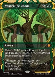 Awaken the Woods 049