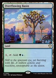 Overflowing Basin 392