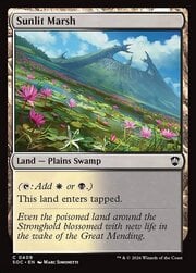 Sunlit Marsh 409
