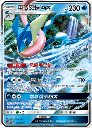 Greninja [Shadow Stitching | Moonlight Slash] Frente