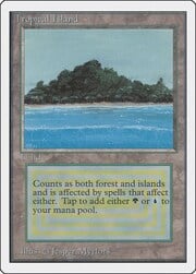 Tropical Island 284