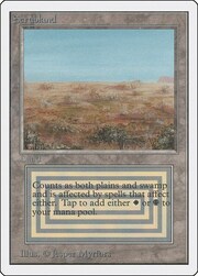 Scrubland 282