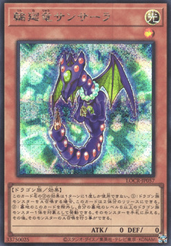 Dragón Samsara Frente