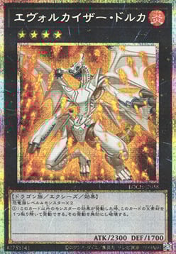 Dolkka Evolugarto Frente