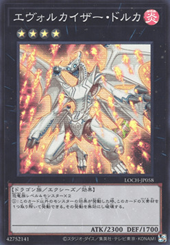 Dolkka Evolugarto Frente