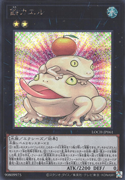 Sapiamente Genial Frente