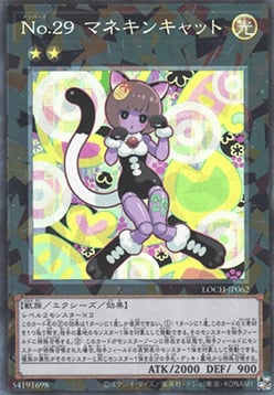 Número 29: Maniquí Gato Frente