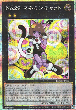 Número 29: Maniquí Gato Frente