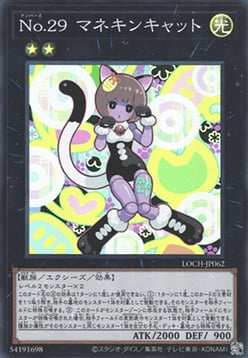 Número 29: Maniquí Gato Frente