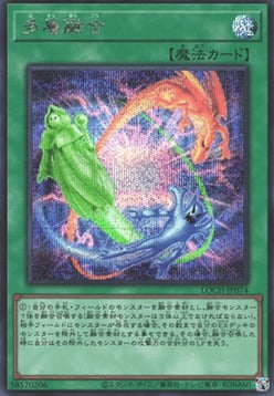 Polimerizzazione Pesante Card Front