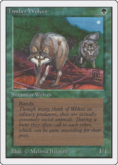 Timber Wolves Card Front