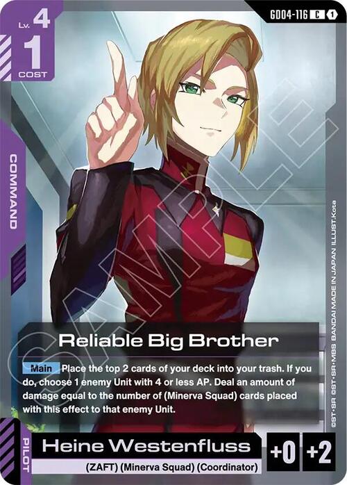 Reliable Big Brother Frente