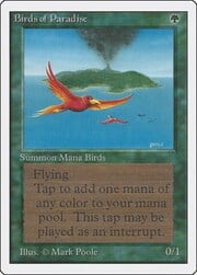Birds of Paradise 187