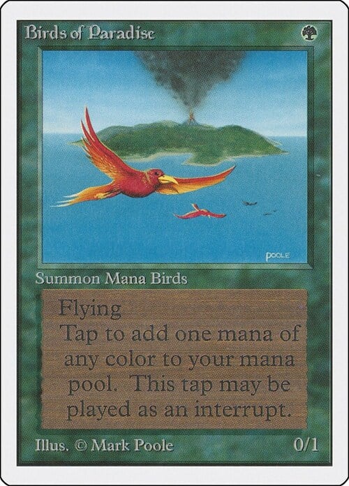 Birds of Paradise Card Front