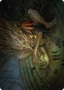 Art Series: Old-Growth Educator Card Front