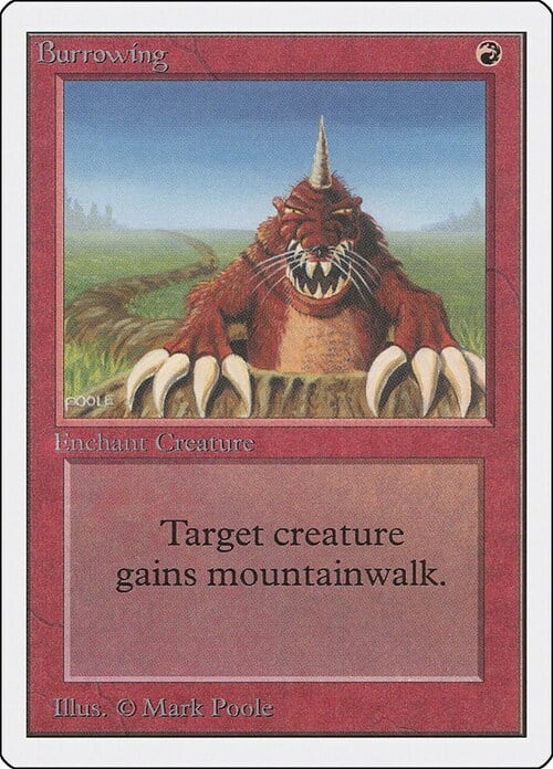 Burrowing Card Front