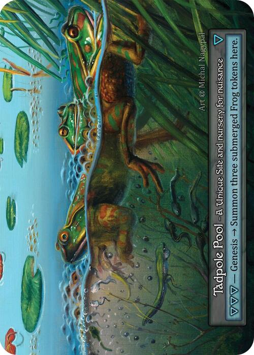 Tadpole Pool Card Front