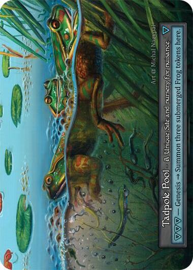 Tadpole Pool Card Front