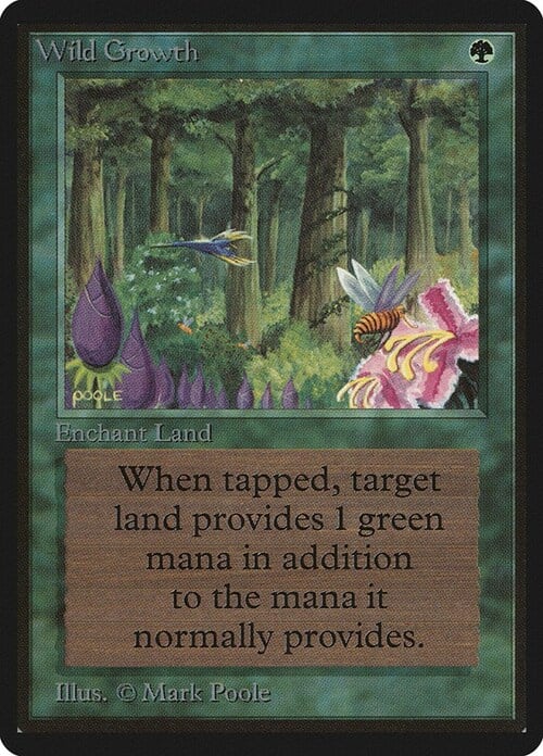 Wild Growth Card Front