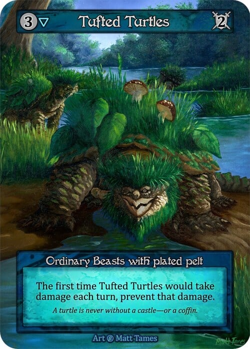 Tufted Turtles Card Front