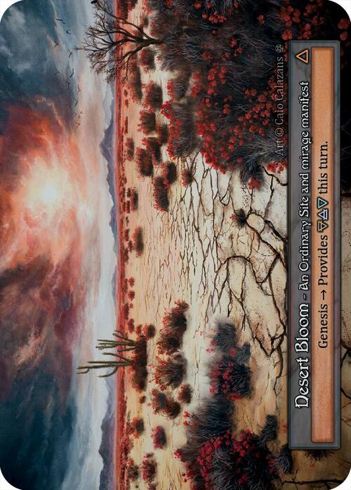 Desert Bloom Frente