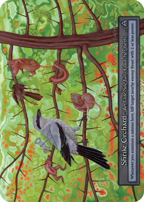 Shrike Orchard Frente